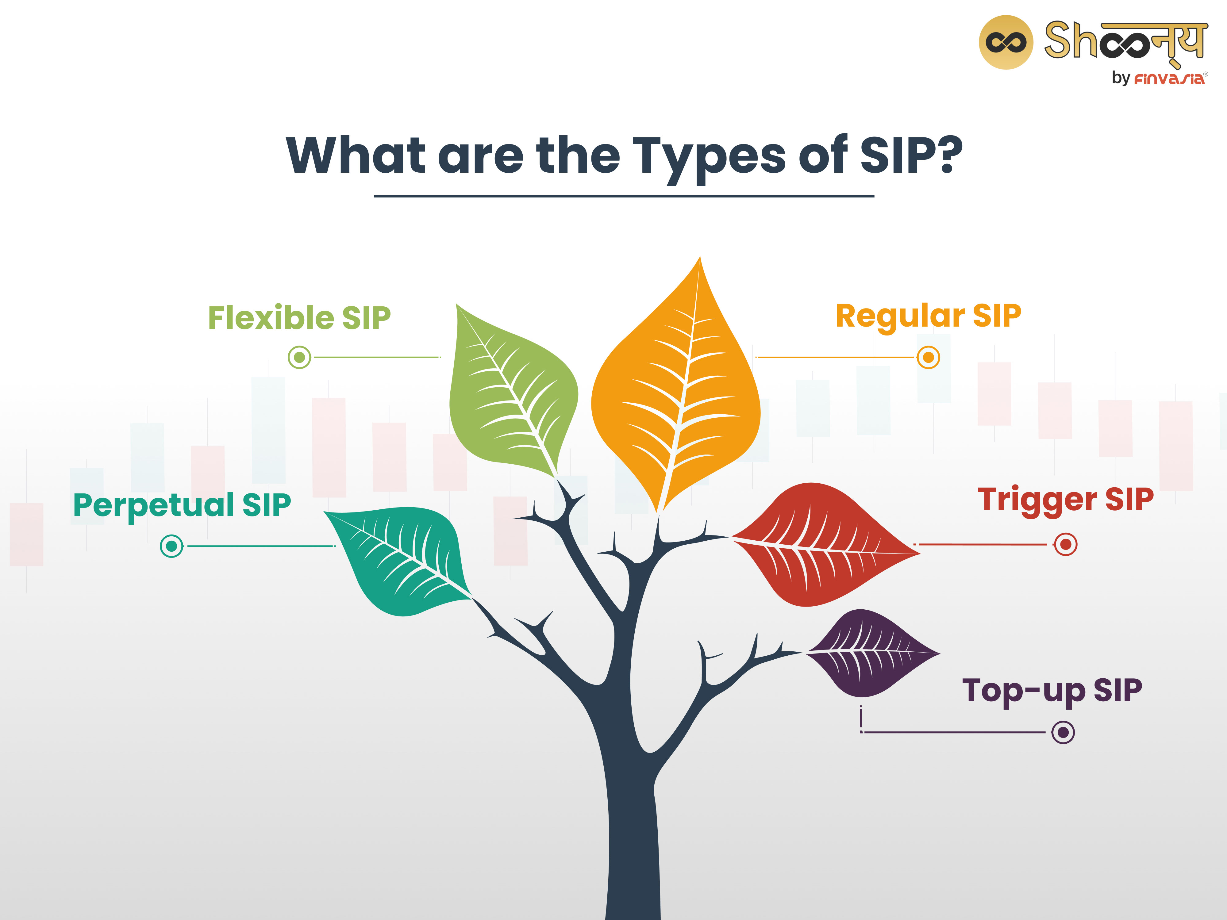 What are the Types of SIP?